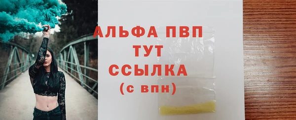 PSILOCYBIN Балабаново