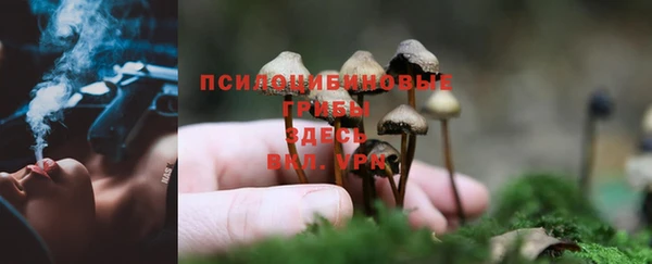 каннабис Балахна
