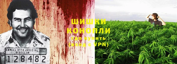 PSILOCYBIN Балабаново