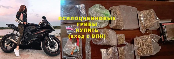 PSILOCYBIN Балабаново