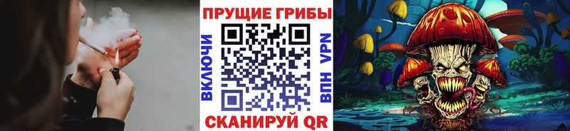 Галлюциногенные грибы Cubensis  дарк нет Telegram  Нязепетровск 